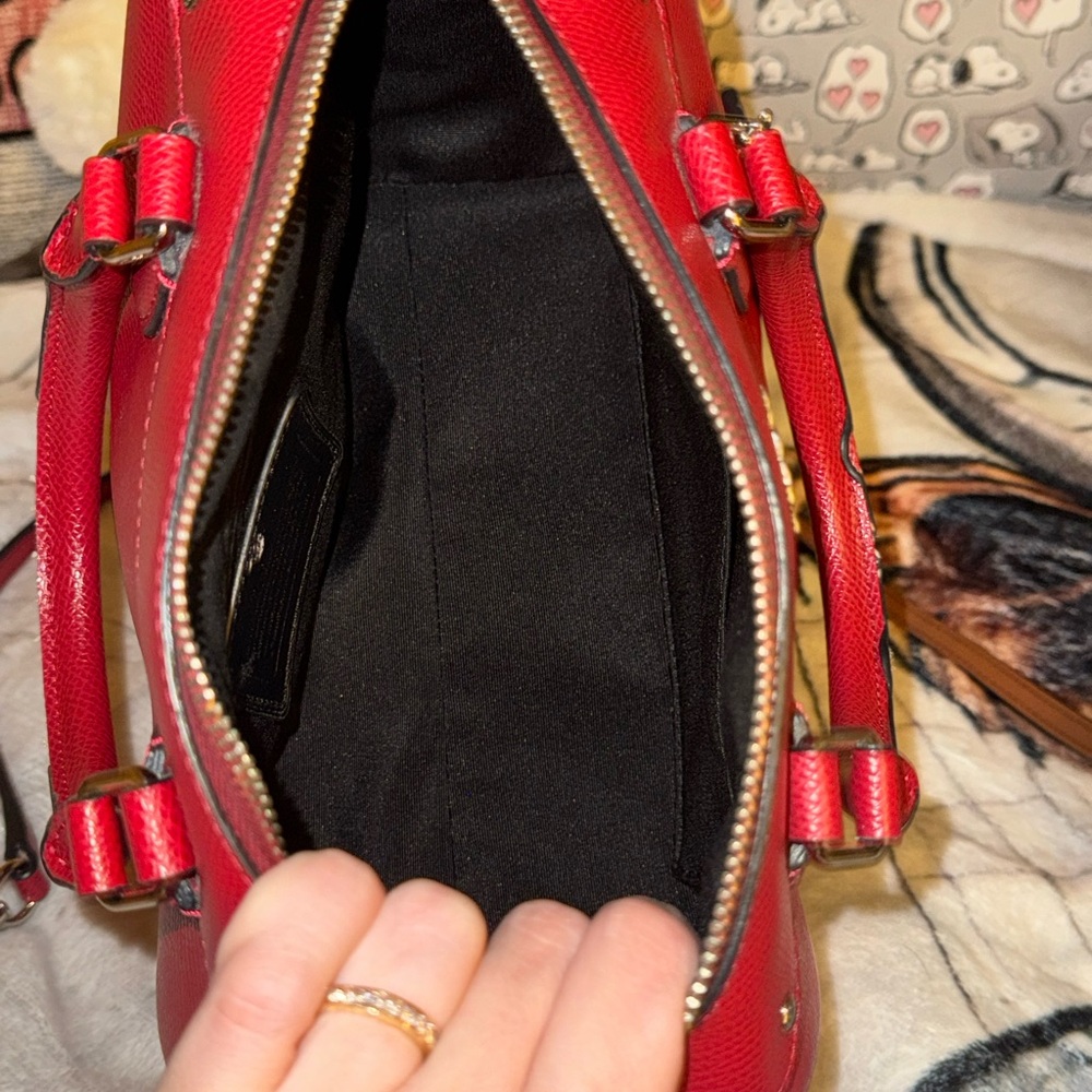 Peanuts/Snoopy Mini Bennett - Picture 2 of 11